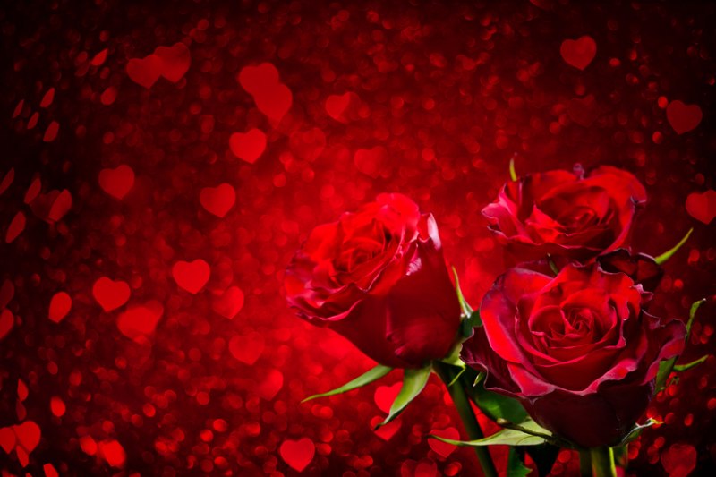 Valentins dag - i k�rlighedens navn.